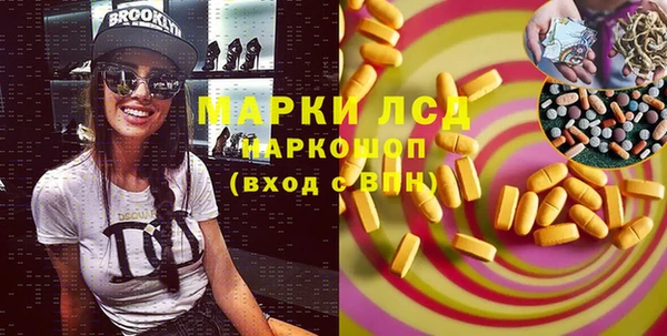 прущие грибы Янаул