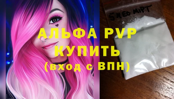 прущие грибы Янаул
